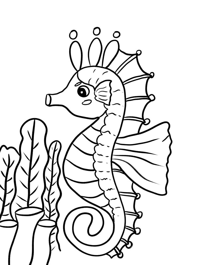 How to draw a Seahorse for kids step by step 8
