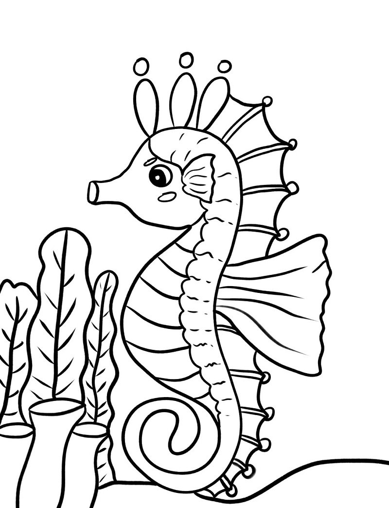 How to draw a Seahorse for kids step by step 9