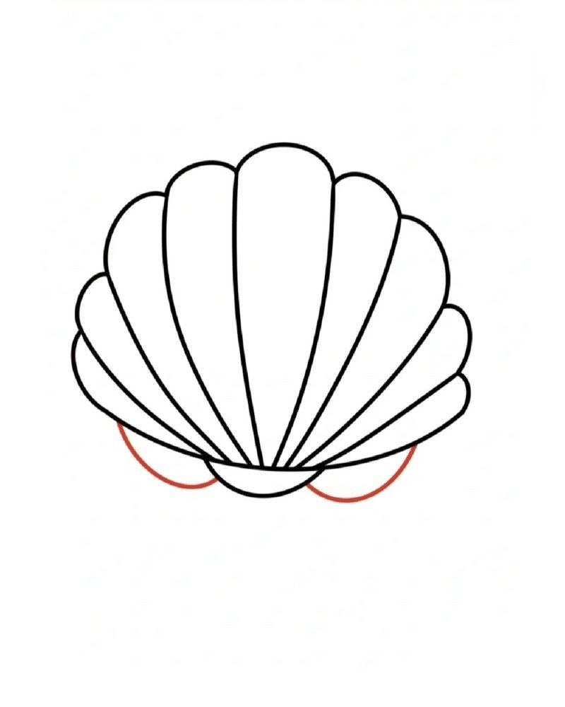 How to draw a seashell 6