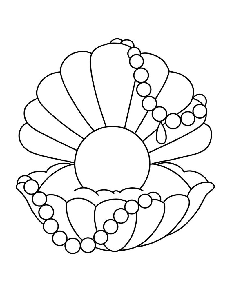 How to draw a seashell step by step 1