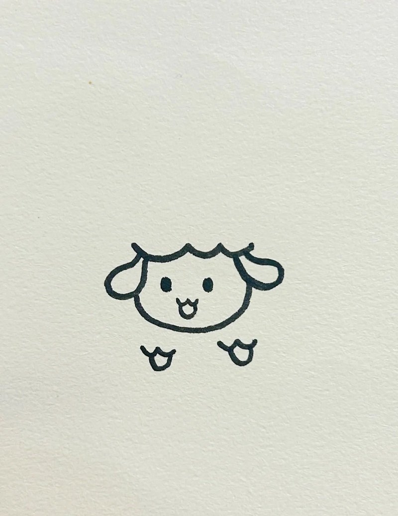 How to draw a sheep cute 4