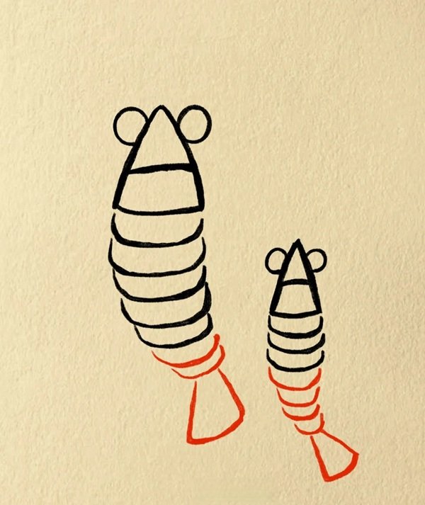 How to draw a shrimp 4
