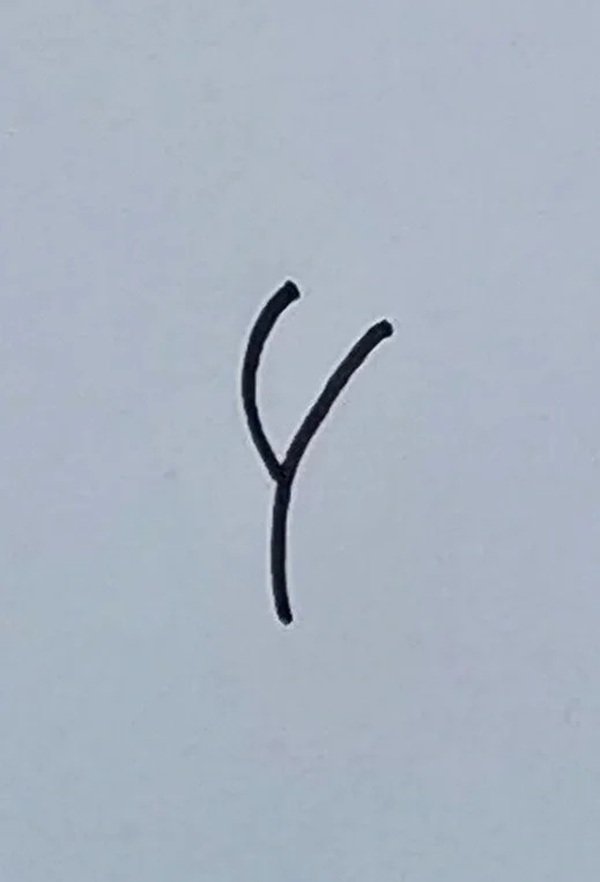 How to draw a shrimp step by step 1