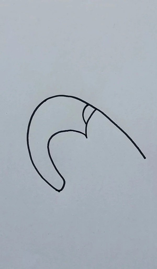 How to draw a shrimp step by step 3
