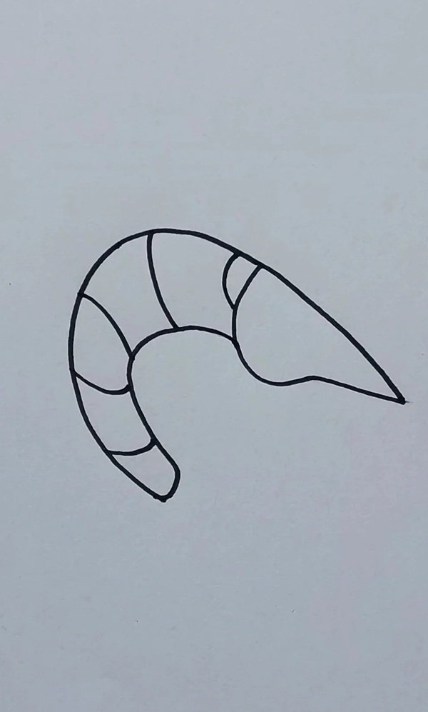 How to draw a shrimp step by step 5