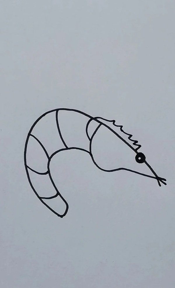 How to draw a shrimp step by step 6