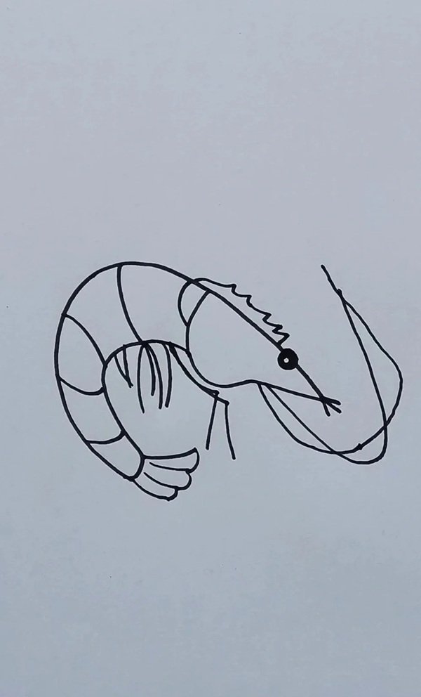 How to draw a shrimp step by step 8