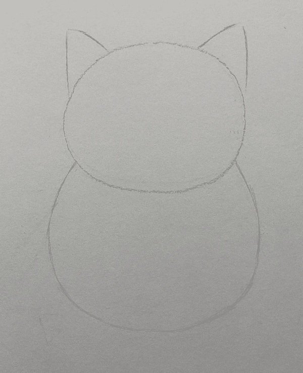 How to draw a simple cat​ 1