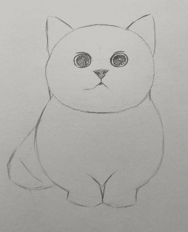 How to draw a simple cat​ 3