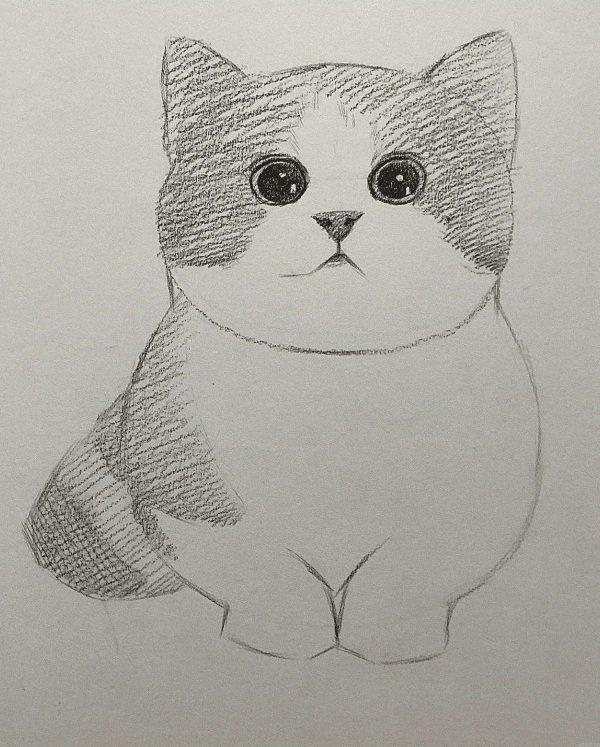 How to draw a simple cat​ 4