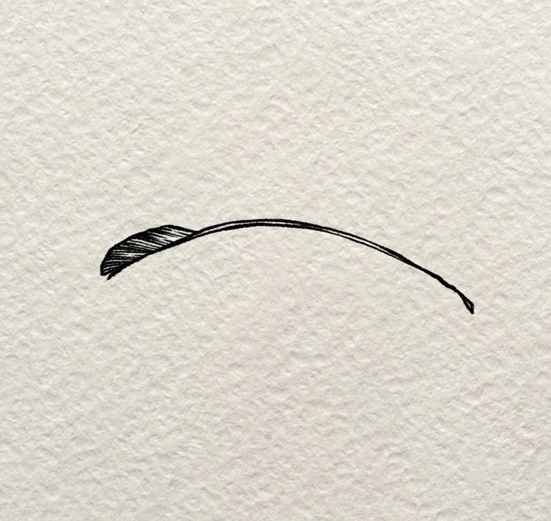 How to draw a simple feather 2