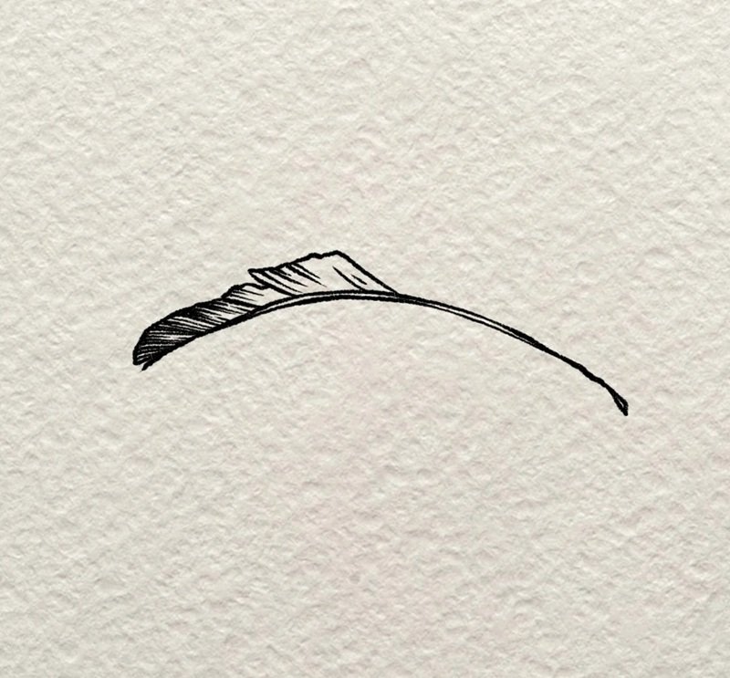 How to draw a simple feather 3