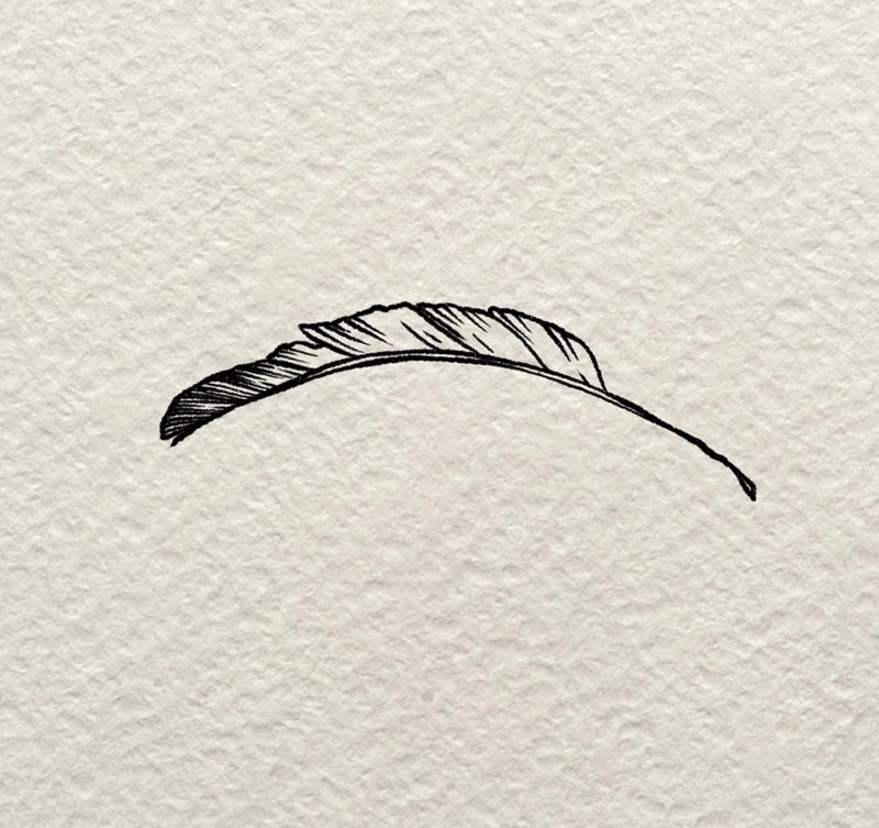 How to draw a simple feather 4