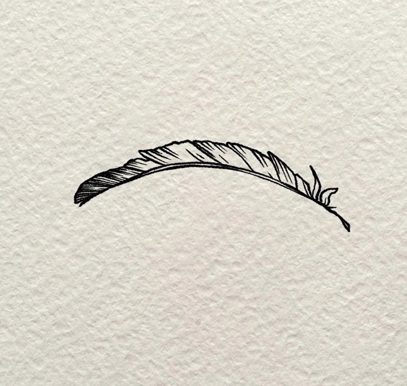 How to draw a simple feather 5
