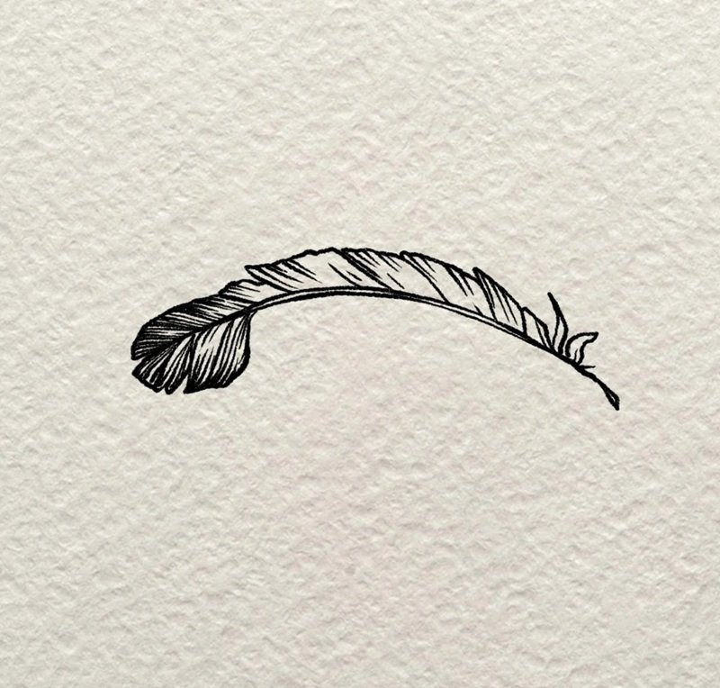 How to draw a simple feather 6