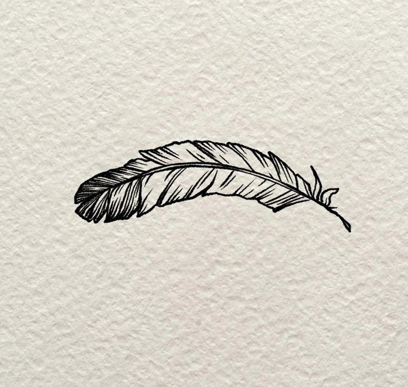 How to draw a simple feather