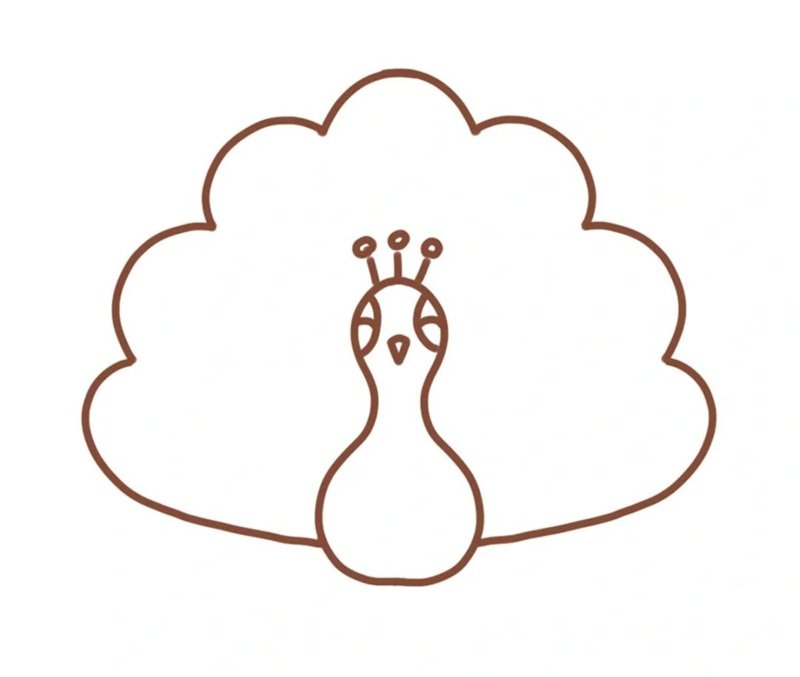 How to draw a simple peacock 4