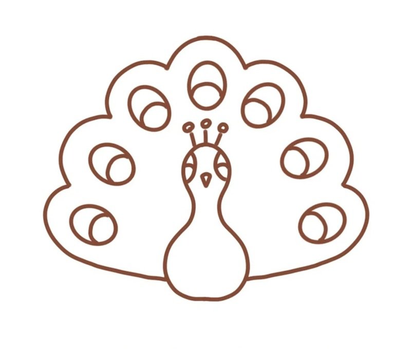 How to draw a simple peacock 5