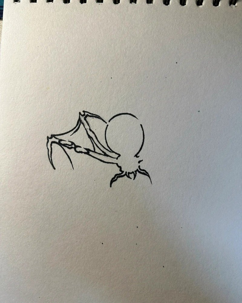 How to draw a simple Spider 2