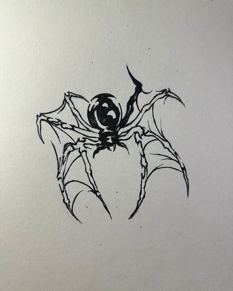 How to draw a simple Spider 5