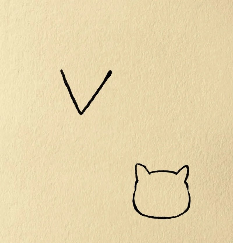 How to draw a simple squirrel 2