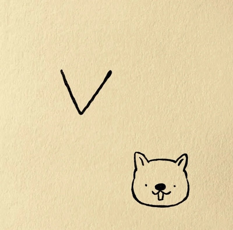 How to draw a simple squirrel 3