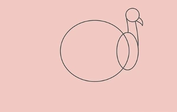 How to draw simple Turkey 2