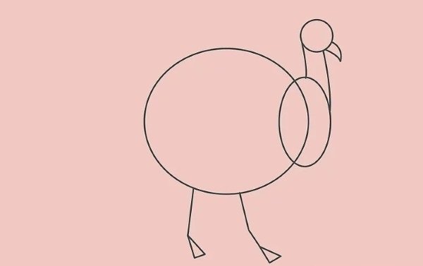How to draw simple Turkey 3
