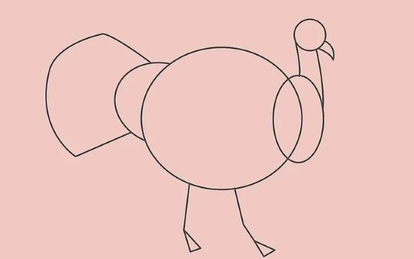 How to draw simple Turkey 4