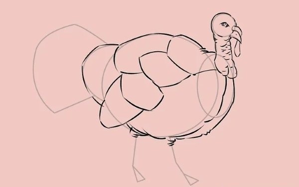 How to draw simple Turkey 6