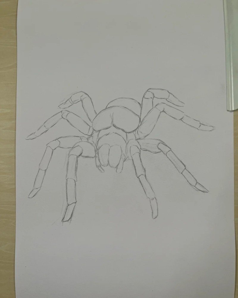 How to draw a Spider 1