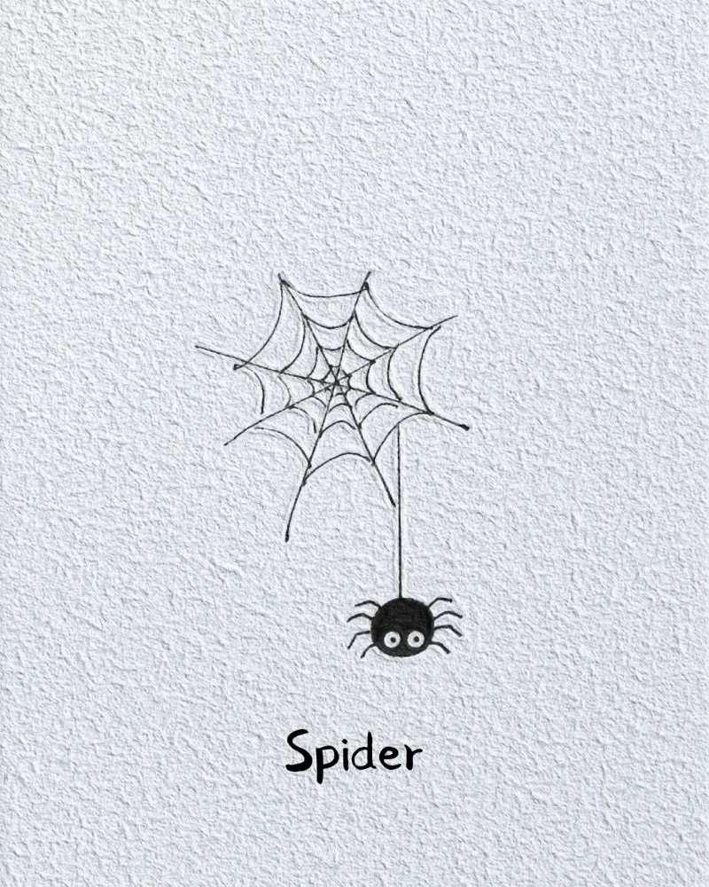 How to draw a Spider and web