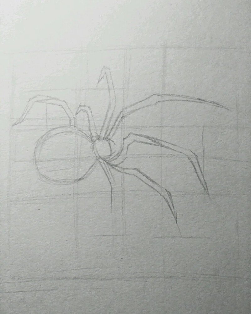 How to draw a Spider step by step 2