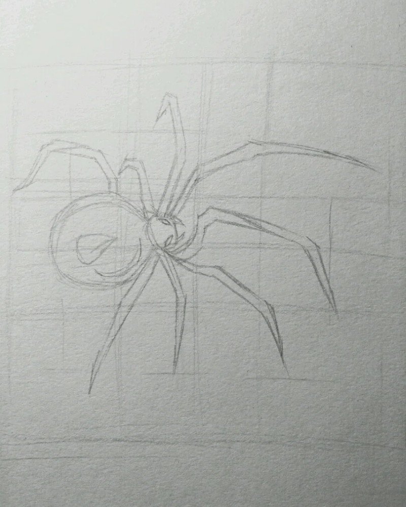 How to draw a Spider step by step 3