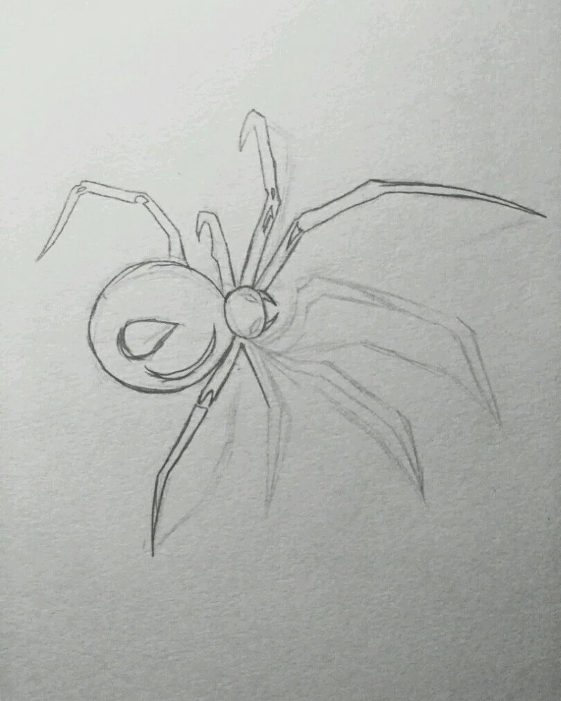 How to draw a Spider step by step 4