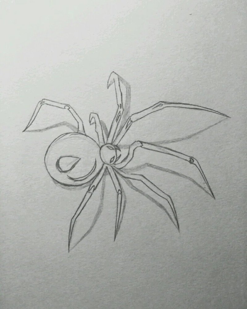 How to draw a Spider step by step 6