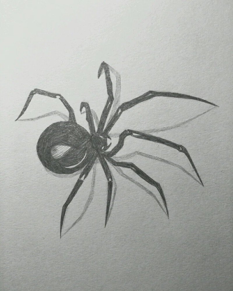 How to draw a Spider step by step 7