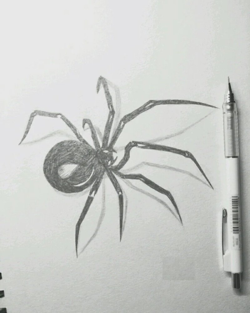 How to draw a Spider step by step