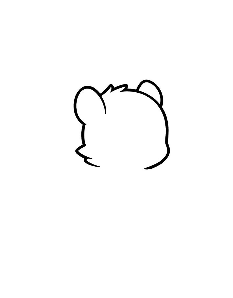 How to draw a squirrel easily 1