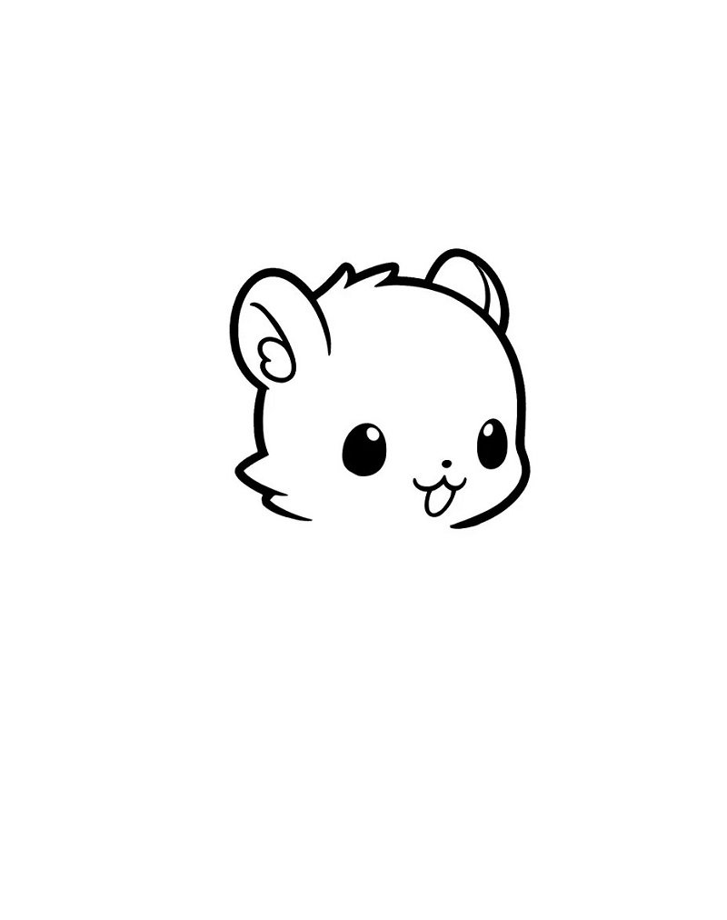 How to draw a squirrel easily 2