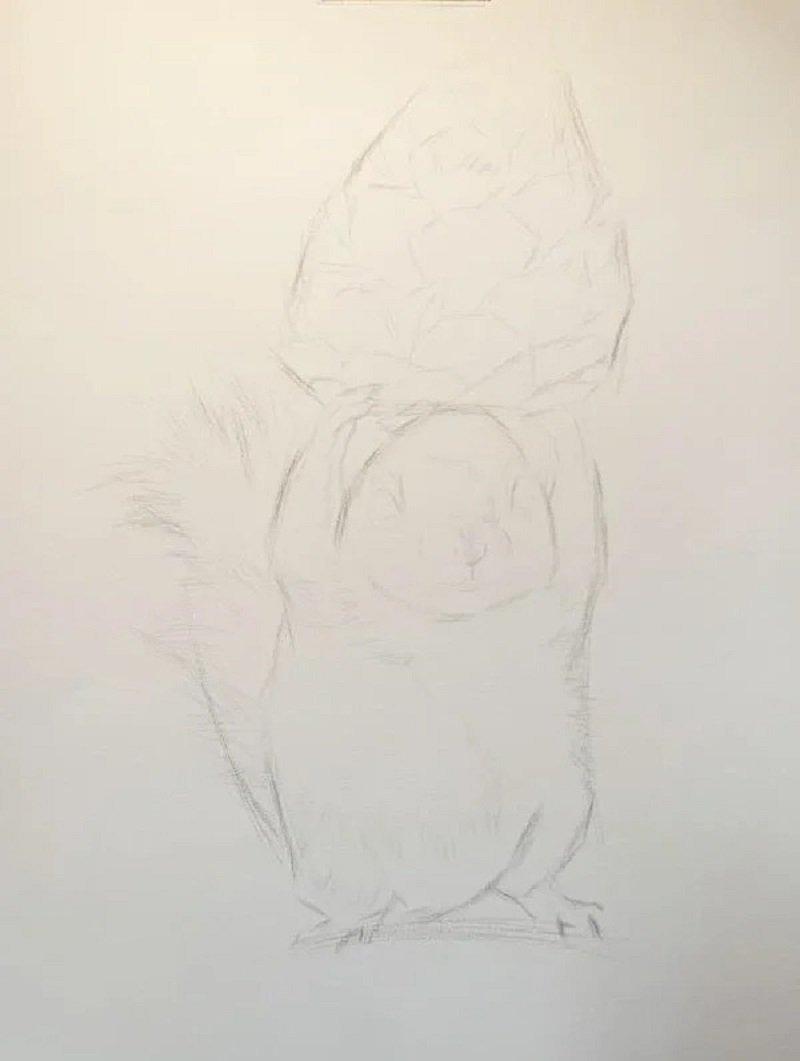 How to draw a squirrel easy 1