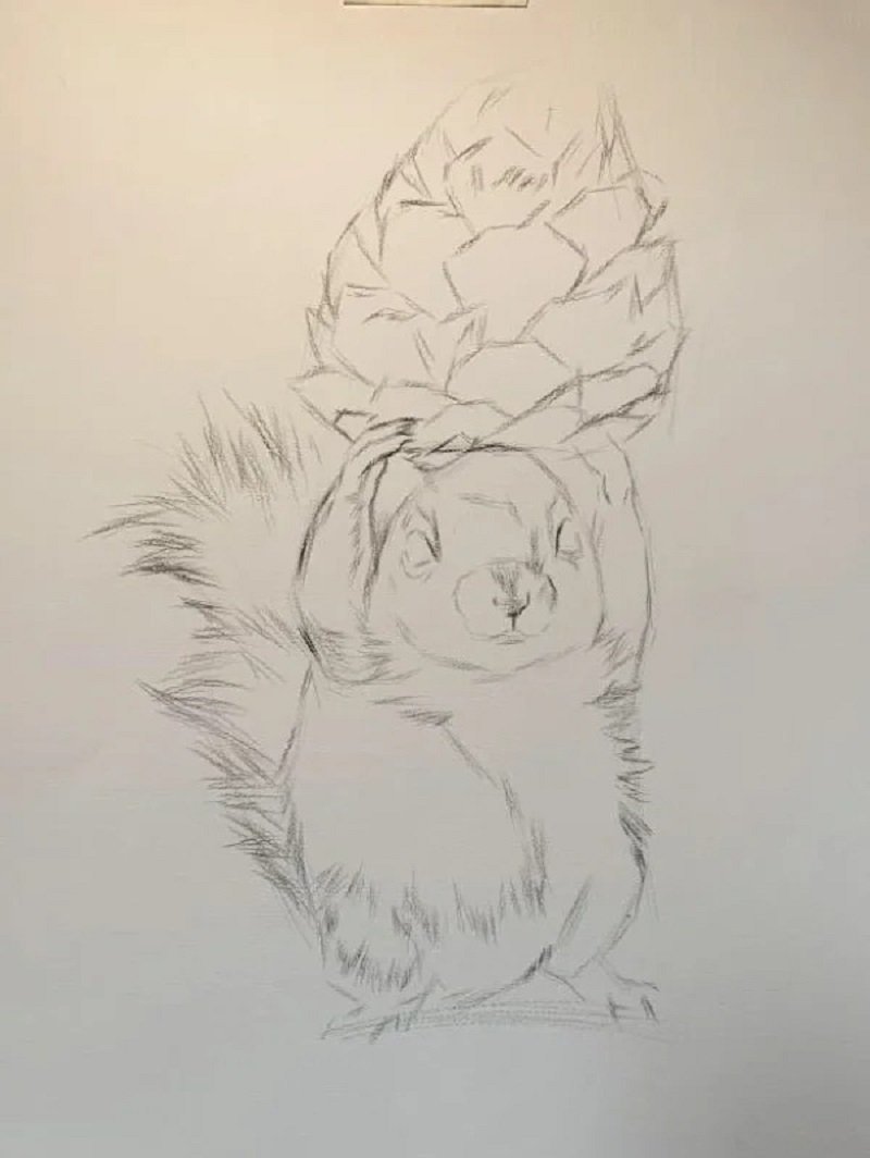 How to draw a squirrel easy 2
