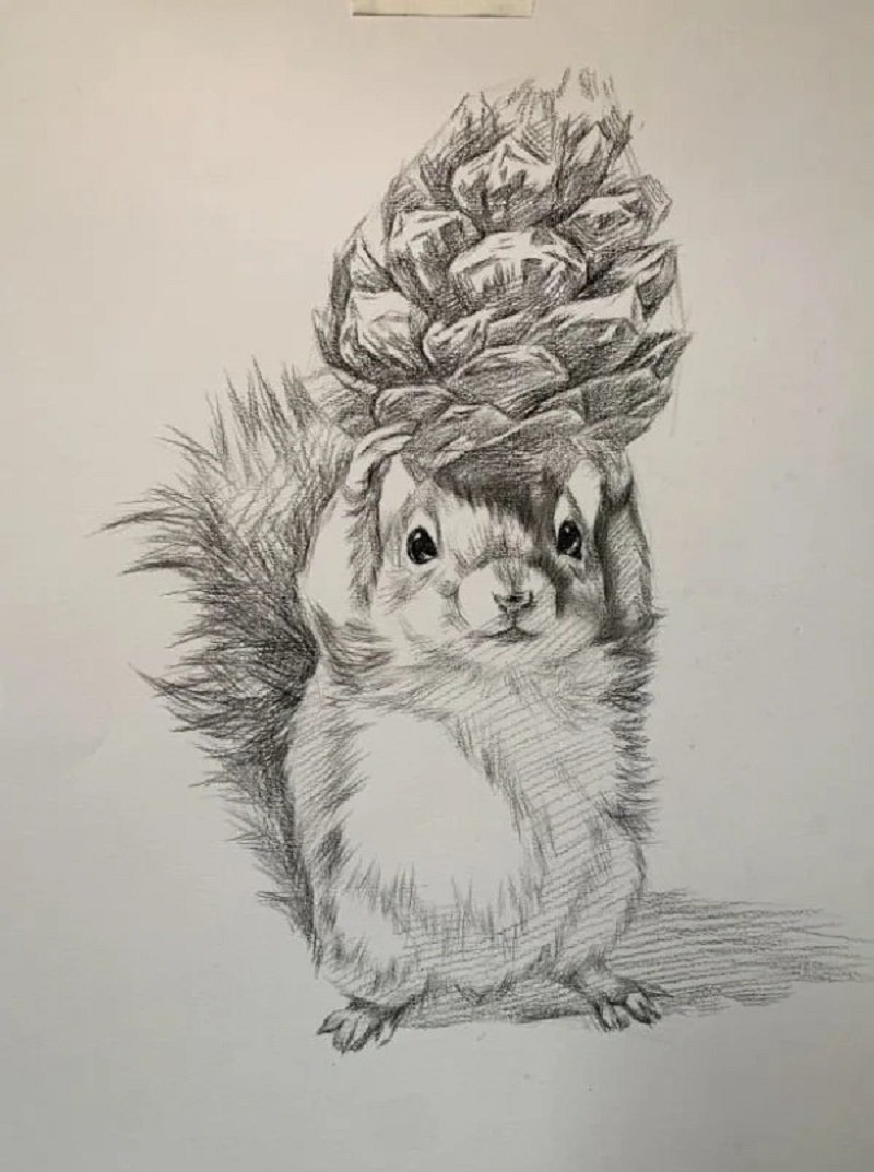 How to draw a squirrel easy 3