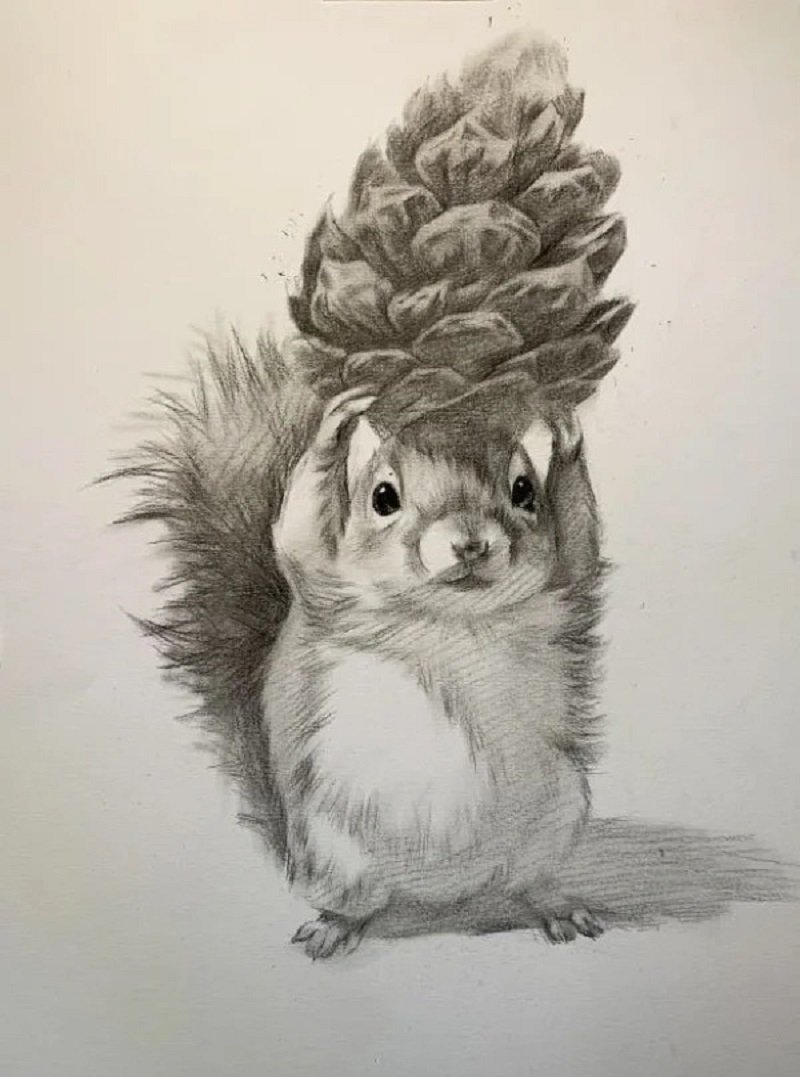 How to draw a squirrel easy 4