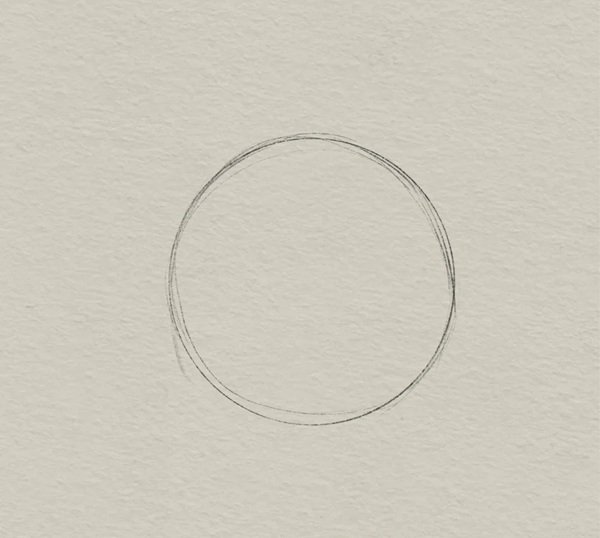 How to draw a tiger 1