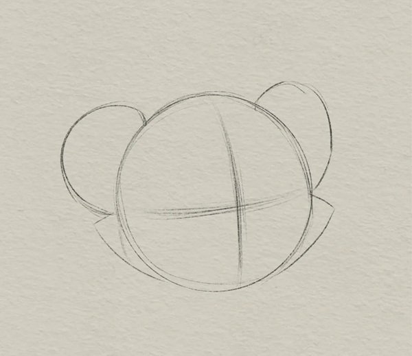 How to draw a tiger 3