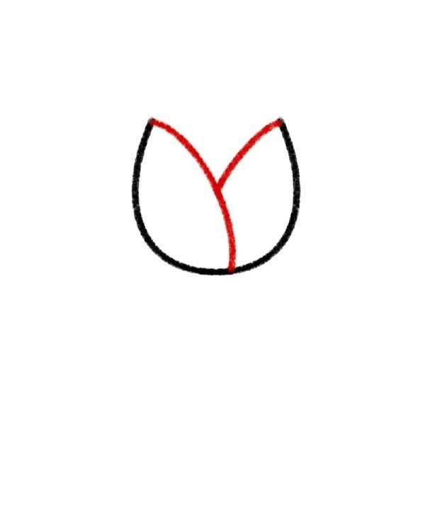 How to draw a tulip easy 2