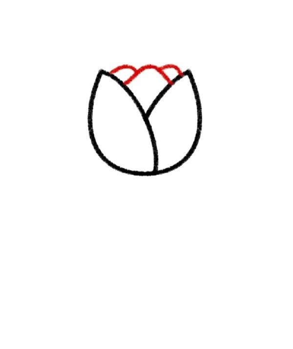 How to draw a tulip easy 3