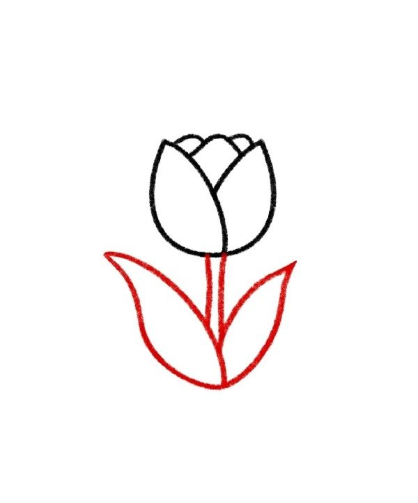 How to draw a tulip easy 4