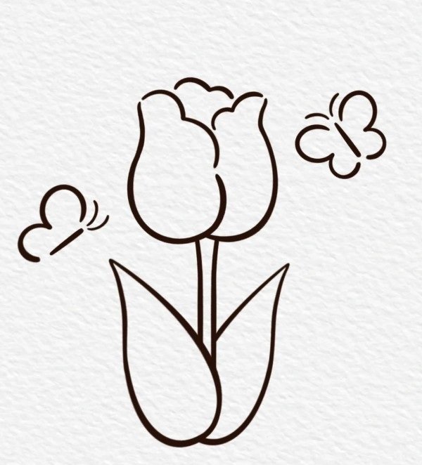 How to draw a tulip flower 6
